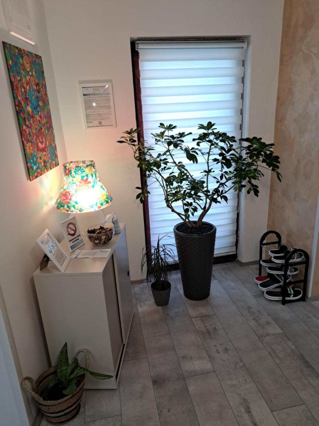 Stefan Apartman Novi Sad Exterior foto